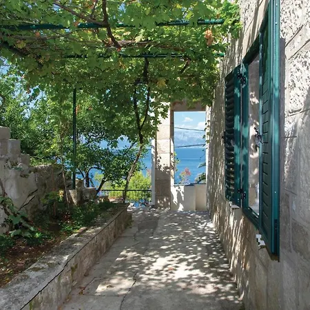 Gorgeous In With Wifi Trpanj